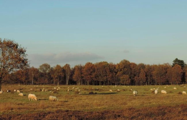 Charming Haystack Stay - Foto 26