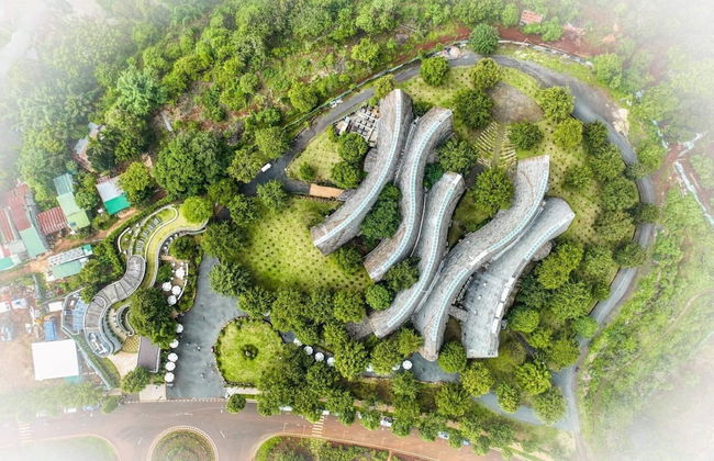 The Coffee City - Healing & Retreats - Photo 36