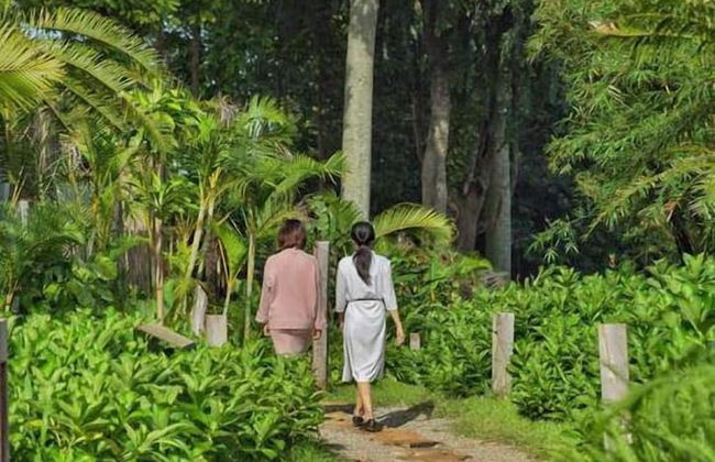 The Coffee City - Healing & Retreats - Photo 57