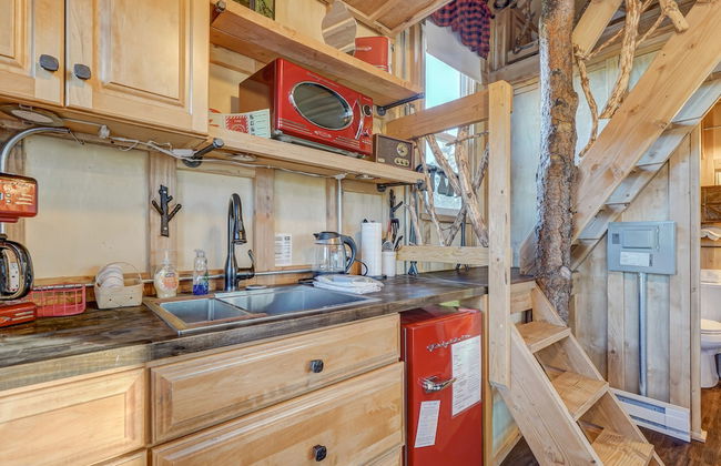 Tree Deer Blind - Foto 18