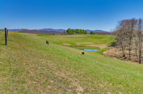 Photo 4 - Scenic Ranch House w/ Fishing Pond