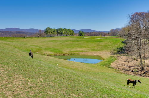 Photo 7 - Scenic Ranch House w/ Fishing Pond