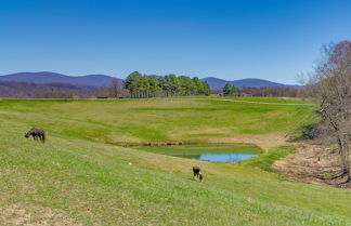 Photo 2 - Scenic Ranch House w/ Fishing Pond