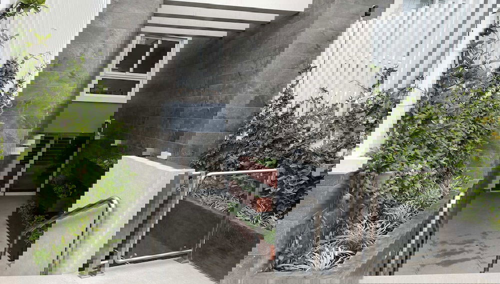 Imagem principal