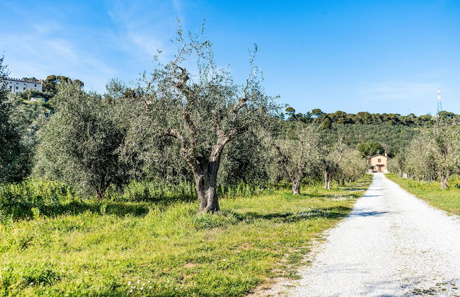 Casa di Allegra Terme di Venturina - Foto 19