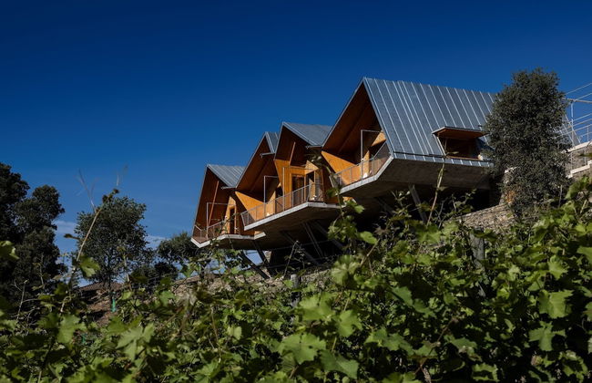 QUINTA DA FAISCA - Agro Turismo - Photo 17