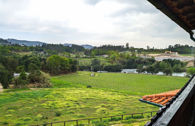Quinta do Burgo - Foto 46
