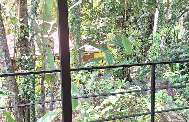 El Jardin de Playa Negra - Foto 51