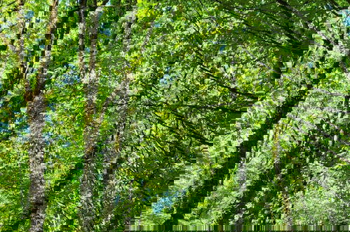 Foto 74 - Le Domaine Insolite de Brocéliande
