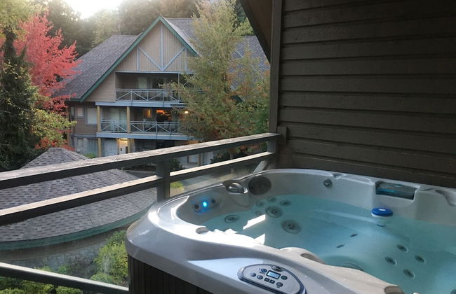 Valhalla Vacations at Whistler - Foto 1
