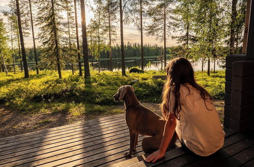 Photo 30 - Metsä Kolo