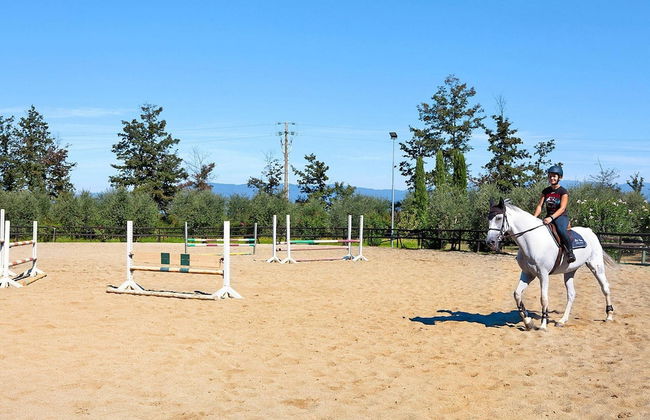 Hesse Farm Holiday Borgo Pinete - Foto 10