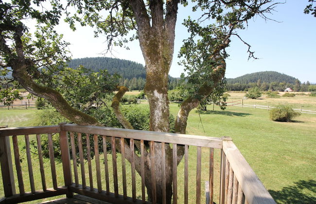 Out 'N' About Treehouse Treesort - Foto 50
