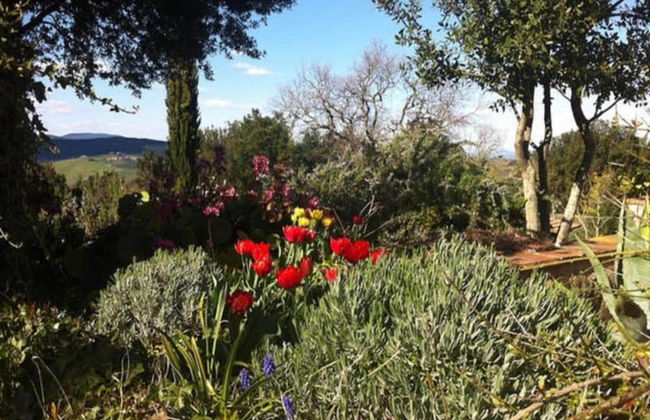 Tuscan Countryside Stay - Foto 38
