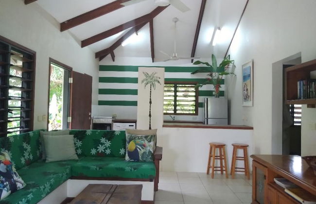 Troppo Mystique - Photo 14