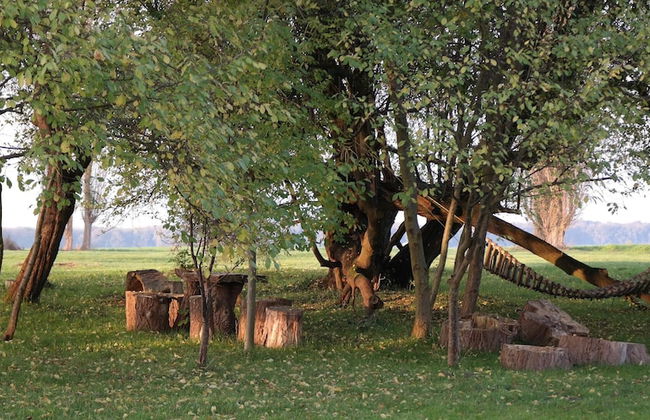 Spacious Apartment in Boddin With Garden - Foto 59