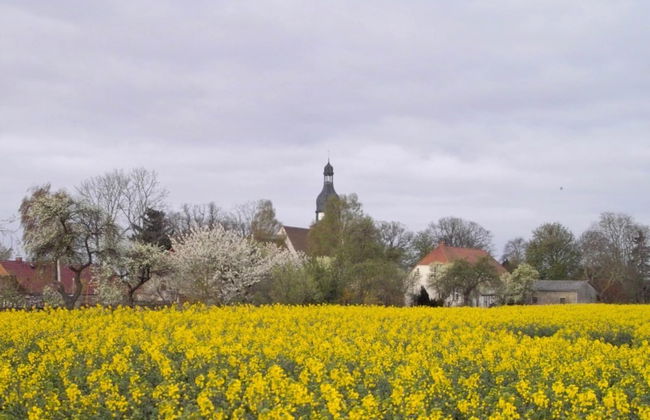 Geraeumige Ferienwohnung in Boddin mit Garten - Photo 18