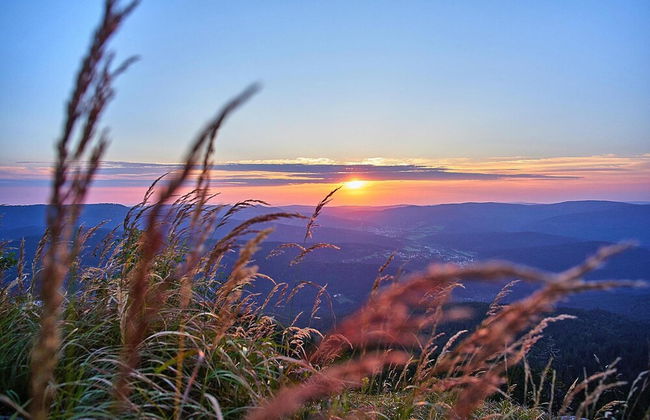 Am Weberfeld, Bodenmais - Foto 54