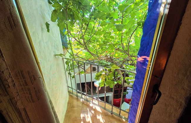 Casas rurales la Tejeruela - Photo 61