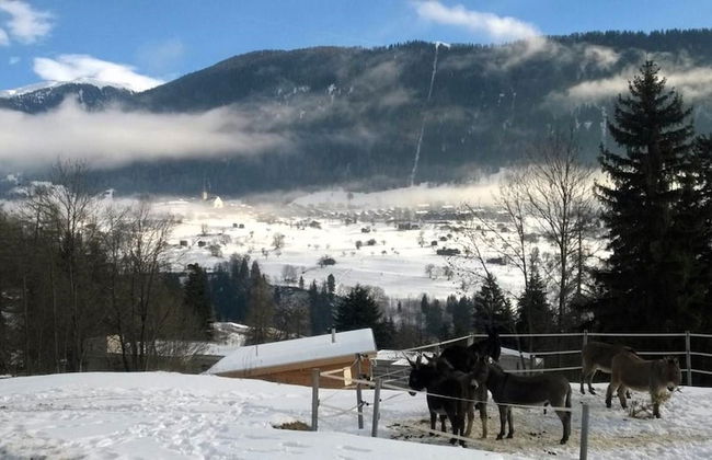 8p Chalet in the Mountains Near Fiesch ski Area - Foto 41