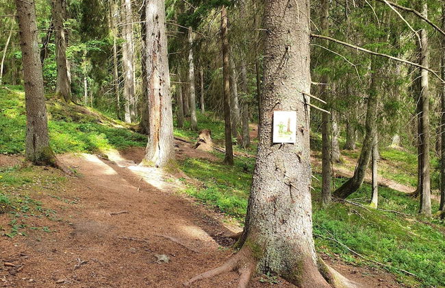 5 Person Holiday Home in Sodertalje - Foto 14
