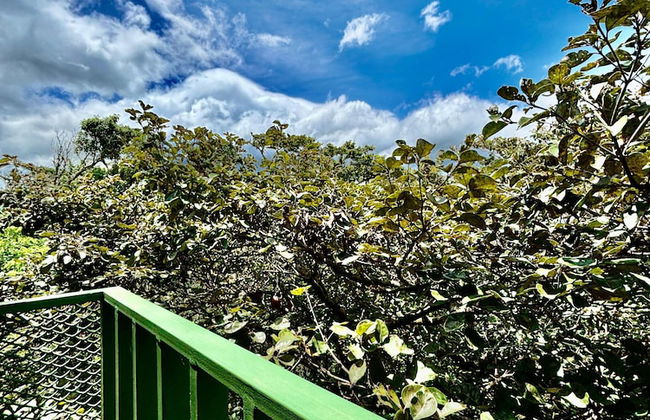 Rincón De Gaetano - Foto 9