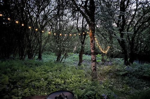 Photo 31 - Cornwall Woodland Dog Friendly Shepherd's Hut