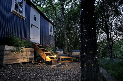 Photo 28 - Cornwall Woodland Shepherds Hut- Dennis' Hut