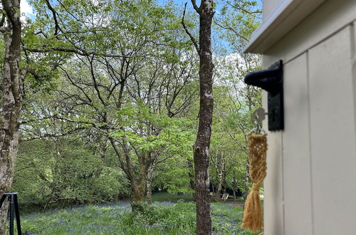 Photo 24 - Cornwall Woodland Shepherds Hut- Dennis' Hut