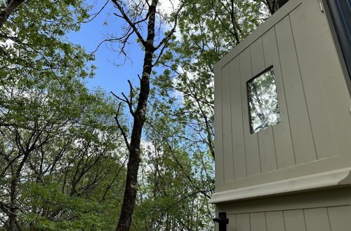 Photo 22 - Cornwall Woodland Shepherds Hut- Dennis' Hut