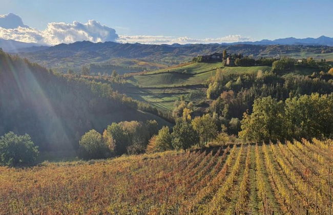 Spacious Hillstay, Piedmont - Foto 31