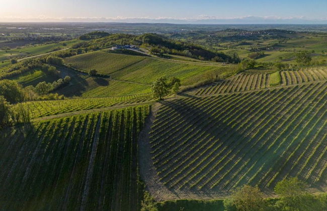 Spacious Hillstay, Piedmont - Foto 37