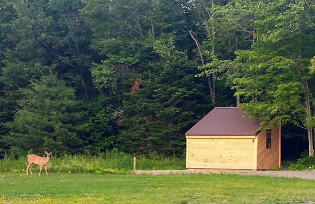 Schlafmans Hollow Solar Cabins - Foto 25