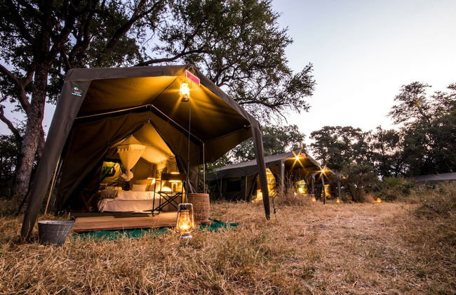 Kruger Untamed - Tshokwane River Camp - Foto 41