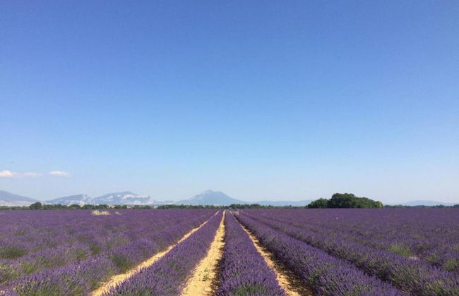 Studio in Greoux-les-bains Near Lakes - Foto 20