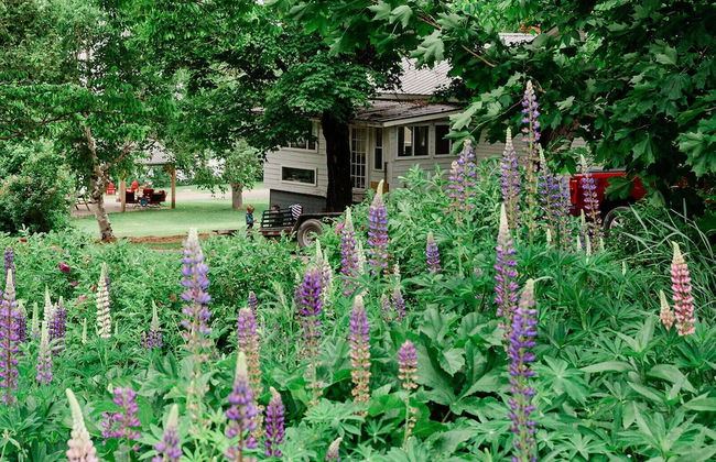 Portage Lakeside Cabins - Foto 62