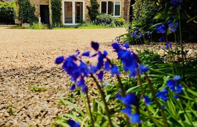 Willingham House - Foto 76
