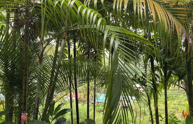 Stephna Residence - Foto 68