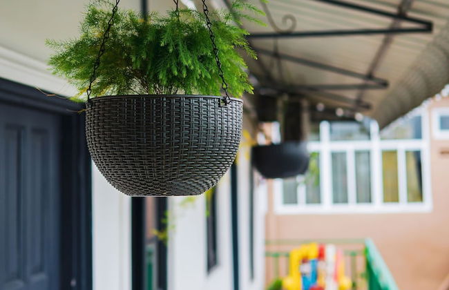 Colonial Wolf Oasis - Photo 52