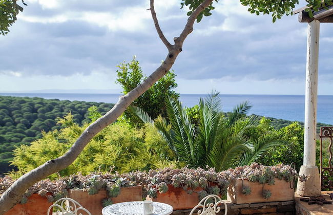 Love Garden - Foto 43