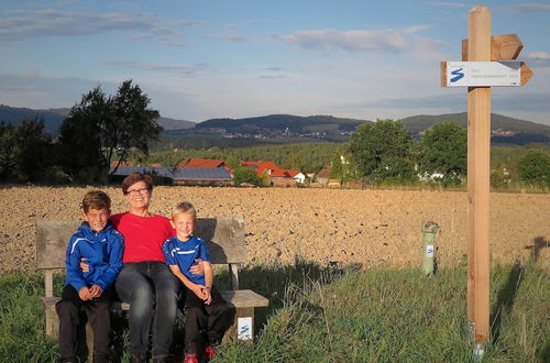 Photo 31 - Holiday Home With Terrace in Kleinwinklarn