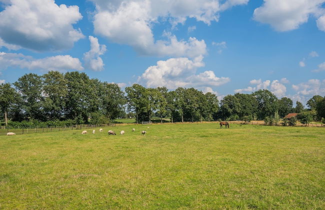 Grandeur Farmhouse in Dwingeloo at a National Park - Foto 57