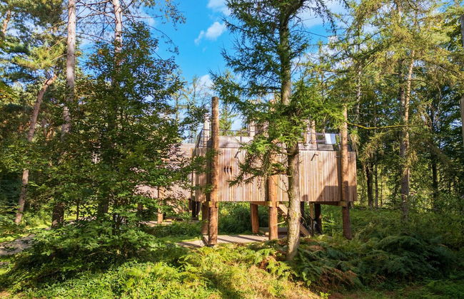 Luxury Treehouse Retreat - Foto 26