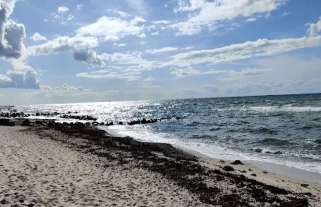 5 Person Holiday Home in Tisvildeleje - Foto 41