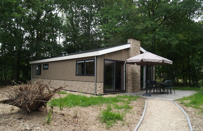 Casa de 4 quartos em Ruinen com piscina e terraço - Foto 58