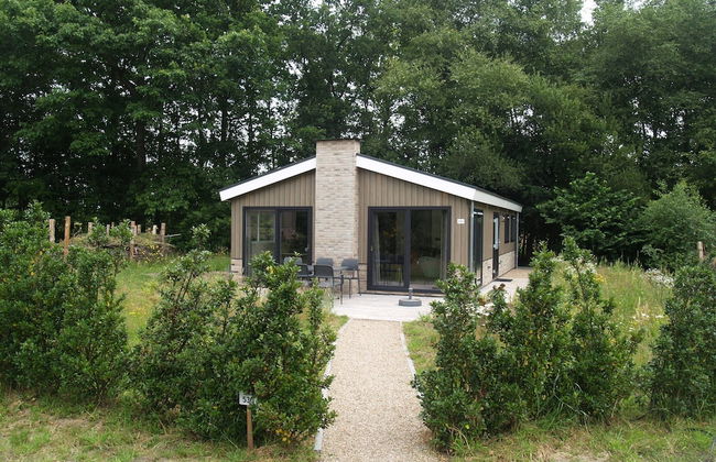 Casa de 4 quartos em Ruinen com piscina e terraço - Foto 59