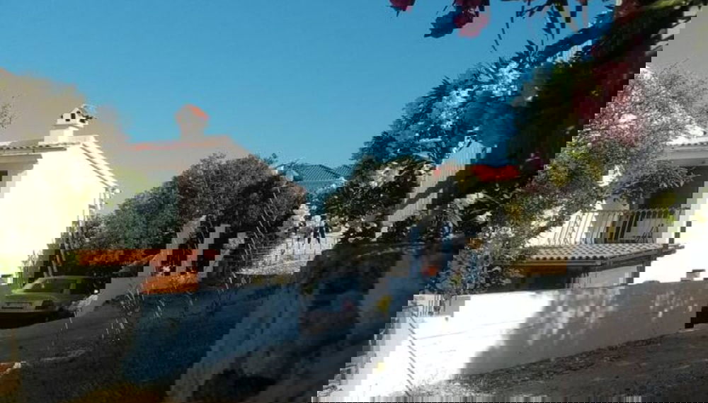 Imagem principal