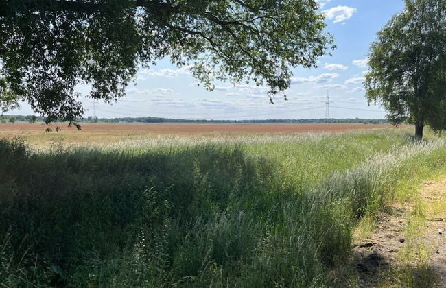 Holiday Home Tonn Modern Retreat - Foto 13