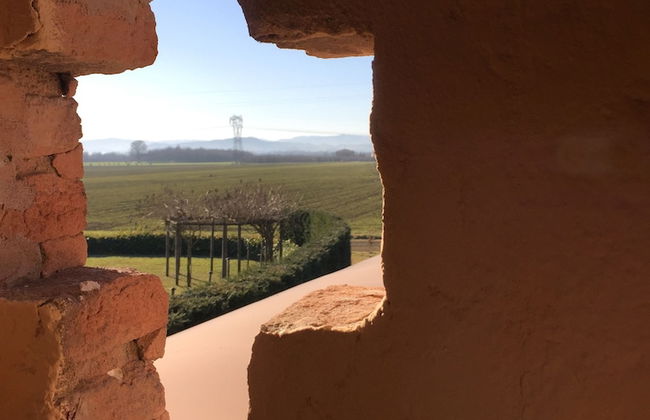 Agriturismo La Lupa - Foto 5