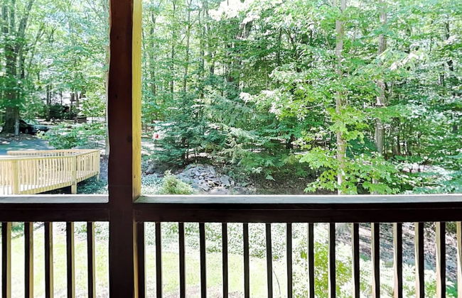 Almost Bearadise - Photo 37